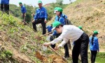 Honda VN mở “hội trồng rừng”