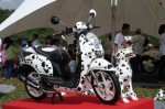 Vẻ đẹp khó cưỡng của Honda Scoopy “độ”