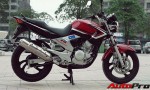 Yamaha YBR 250: Nhỏ nhưng hữu dụng