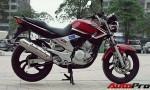 Xe máy "khủng" Yamaha YBR 250 giá 130 triệu đồng